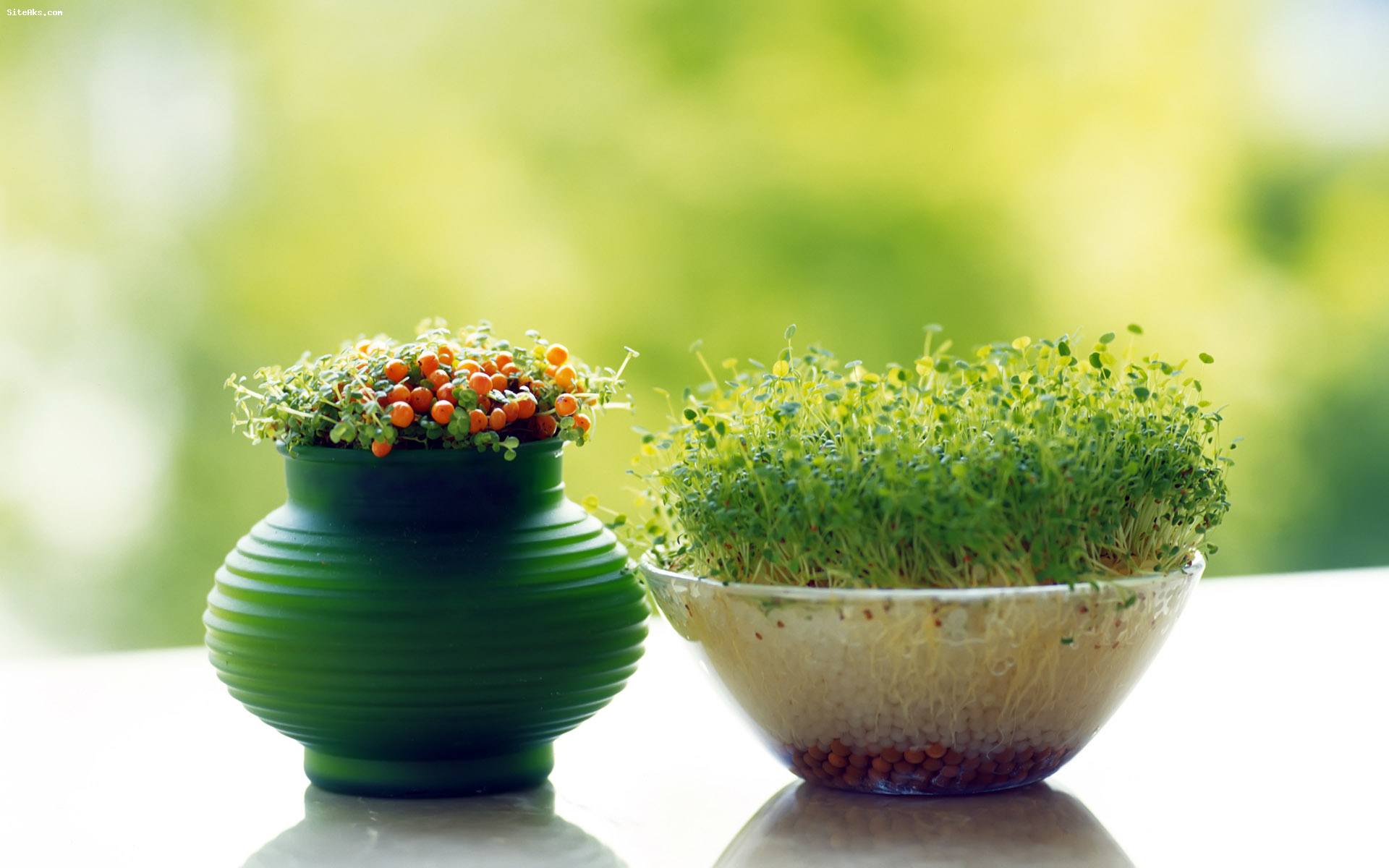 پیاک تبریک نوروز ۱۴۰۵ دوستانه رسمی | محترمانه، صمیمی و قابل‌اعتماد